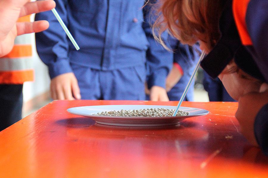 Zeltlager in Bofsheim