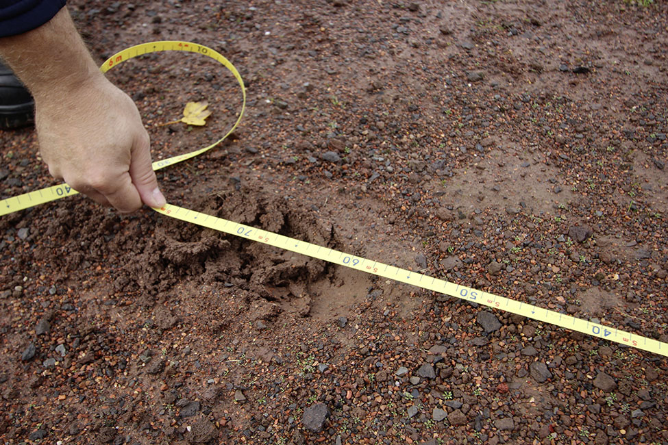 Jugendleistungsspange in Buchen