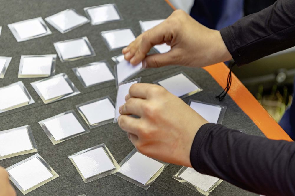 Dreiländertreffen in Billigheim