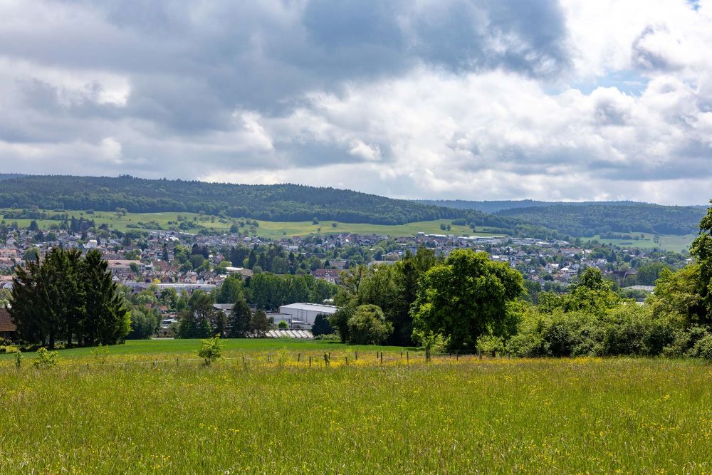 Impressionen von Dreiländertreffen 2026 in Michelstadt-Steinbach